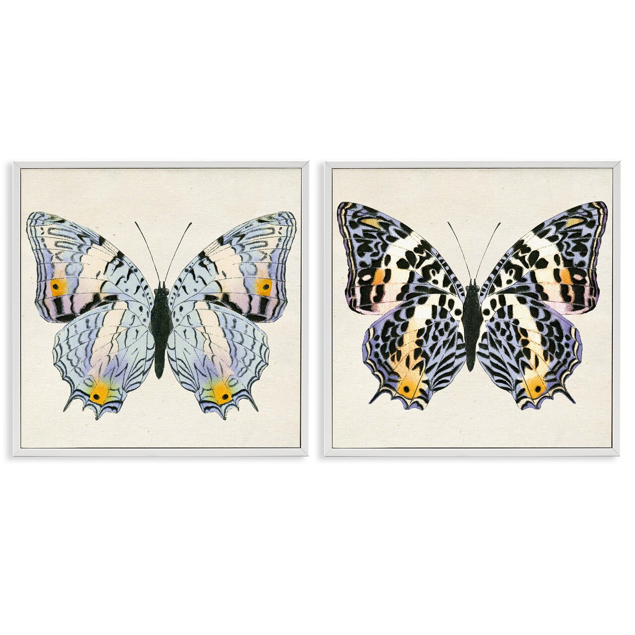 Stupell Industries Butterflies with Yellow Details 2pc Framed Giclee Wall Art Set Design by Susan Arnot